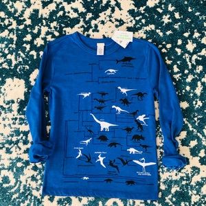 Crewcuts size 12 boys long sleeve light weight cotton graphic T-shirt